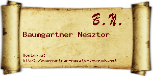 Baumgartner Nesztor névjegykártya